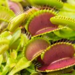 Earth’s Most Breathtaking Natural Wonders: How They Were Formed