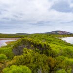 The Desert Paradox – Why Scorching Sands Turn Freezing Cold at Night