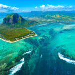 Surviving the Ice – How Antarctic Animals Thrive in Extreme Cold