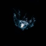 Surviving the Extreme: How Animals Thrive in the Harshest Climates