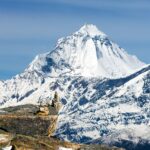 The Immortals of Nature – Animals That Never Truly Age