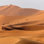 Why Are Oceans Blue, but Some Lakes Turn Pink or Red?