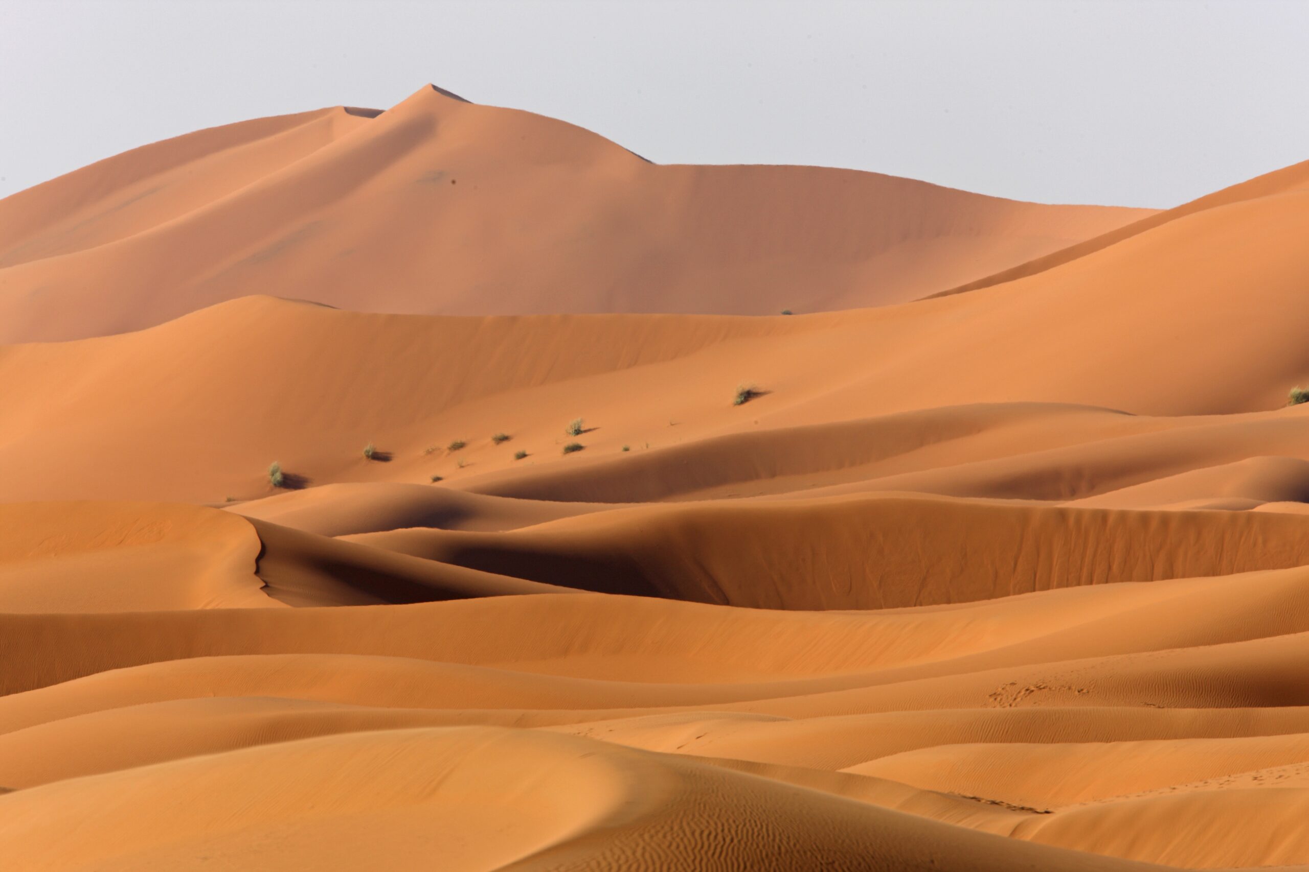 Die Sahara mit vielen Dünen.