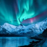 Nature’s Loudest Sounds – The Most Ear-Splitting Noises in the Wild