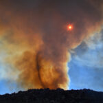 The Evolution of Habitats – Why Earth Has So Many Different Ecosystems